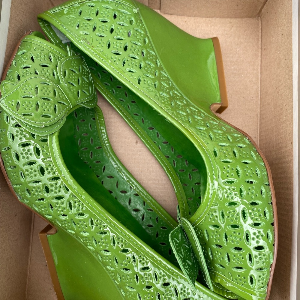 Bronx brand. Size 7M short heel woman’s shoe. Very pretty green color.